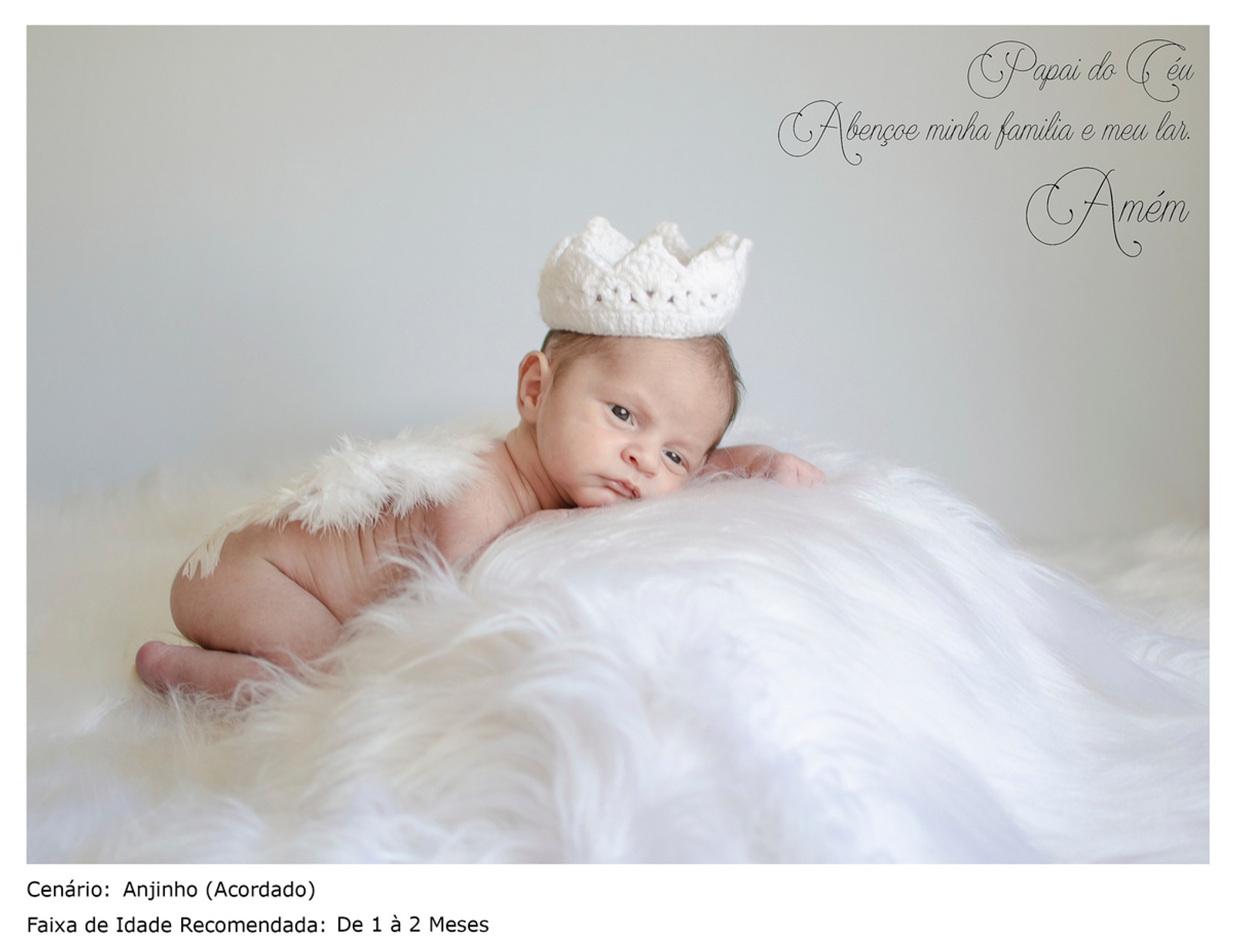 Acompanhamento de Bebês — foto 12