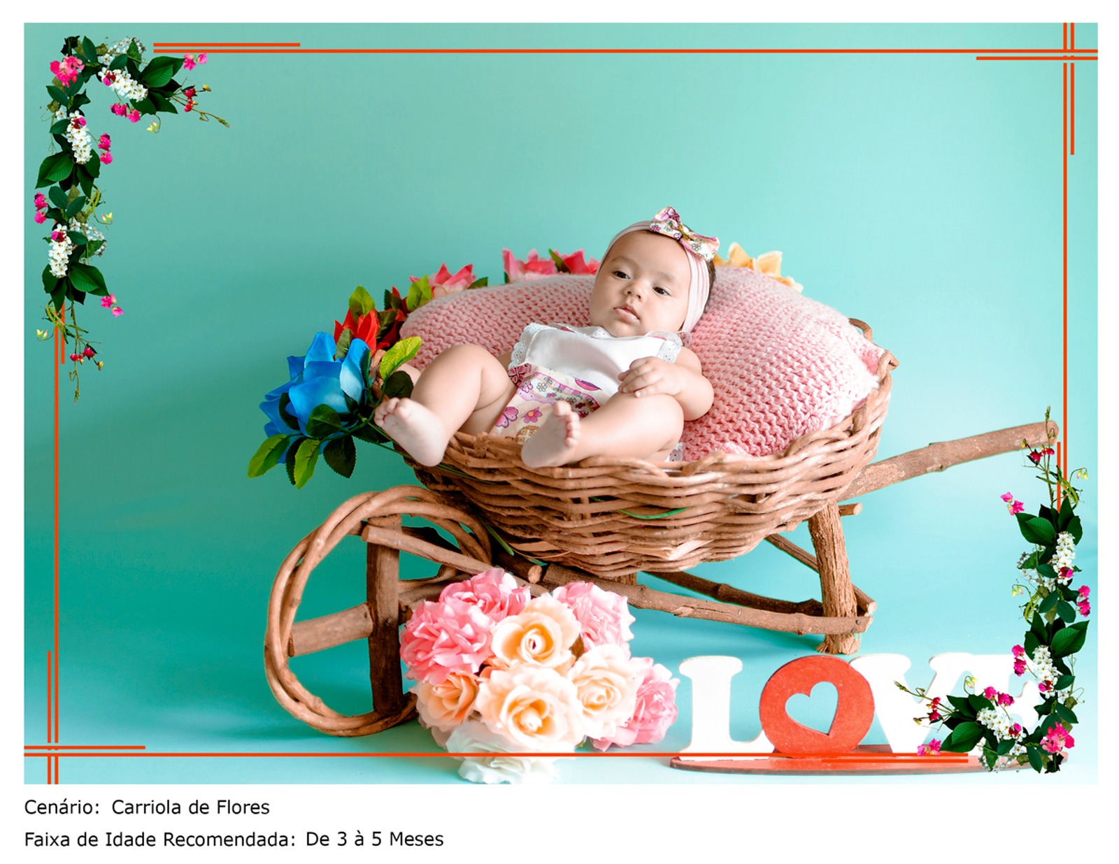 Acompanhamento de Bebês — foto 13