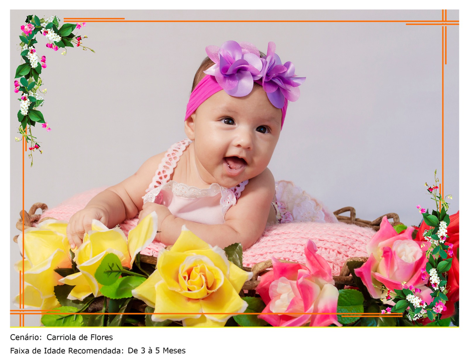 Acompanhamento de Bebês — foto 14