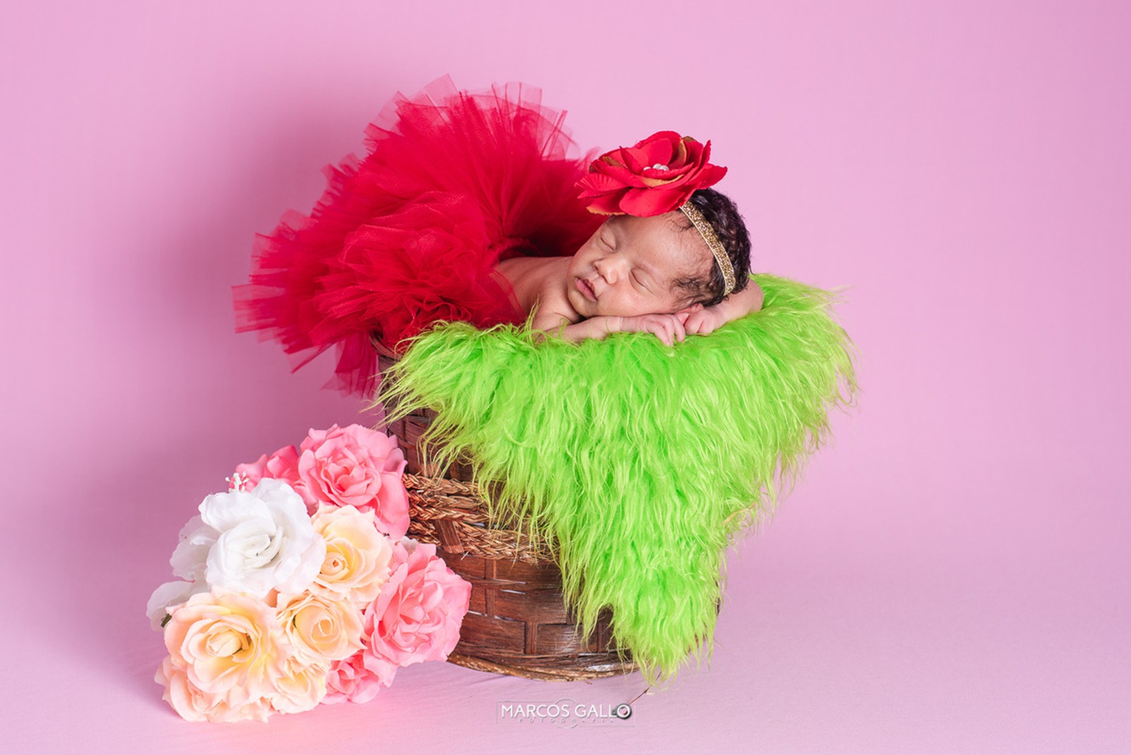 Newborn Feminino — foto 8