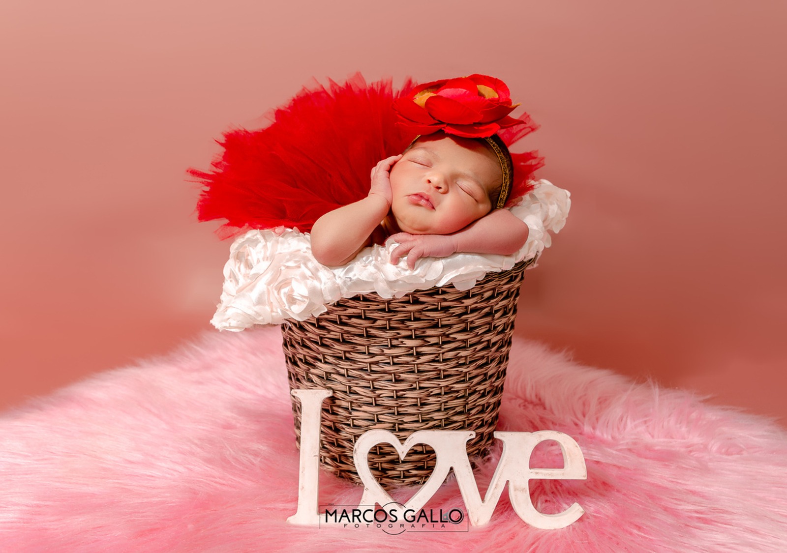 Newborn Feminino — foto 16