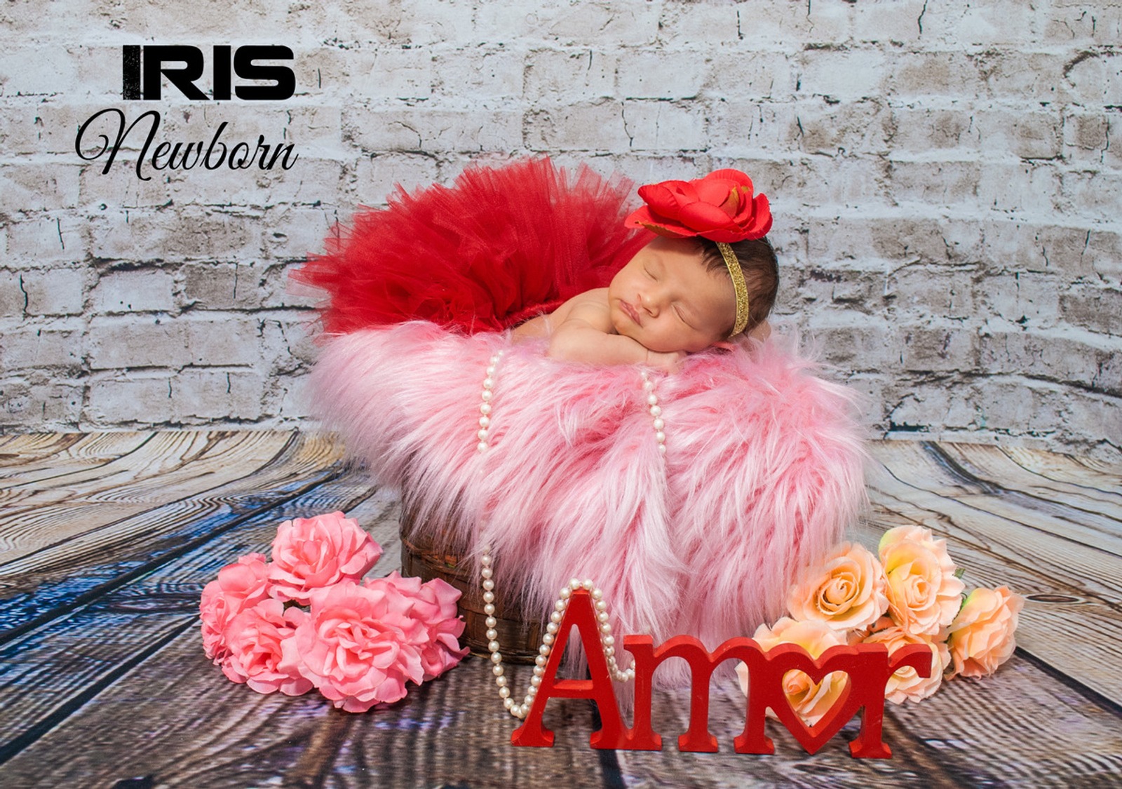 Newborn Feminino — foto 17
